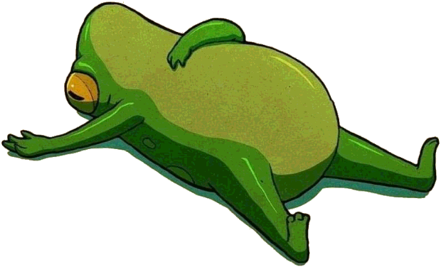 frog lying flat on its back